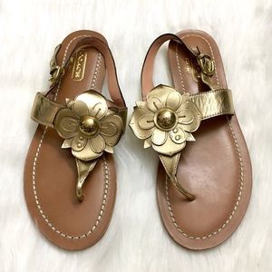 Coach Sari Gold Thong Sandals